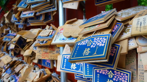 2016-06-14 002 011[1]