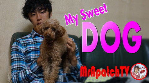 新規動画完成「My Sweet DOG」(comedy)~MrApatchTV(YouTubeチャンネル登録お願いします）