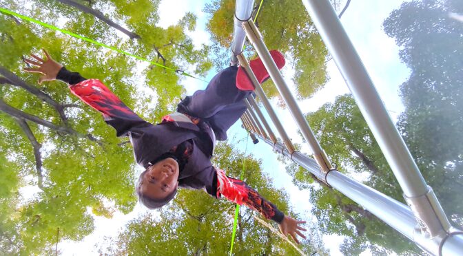 ジャパニーズラダー